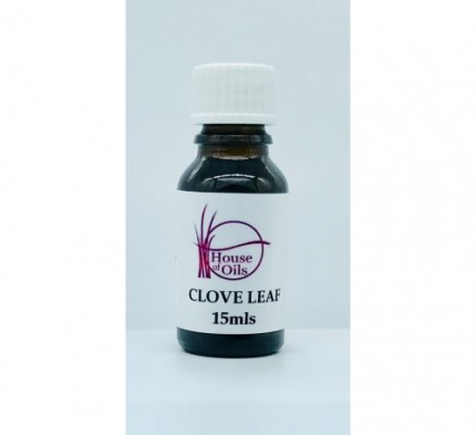 Clove Leaf Essential Oil Clove Leaf Essential Oil